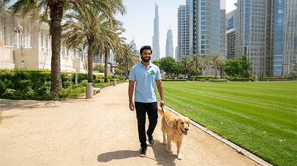 Dog walking Dubai